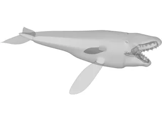 Whale 3D Model preview