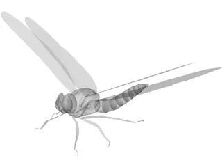 Dragon Fly 3D Model preview