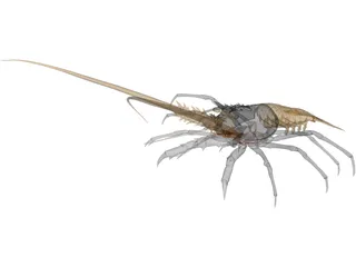Lobster (Palinurus Elephas) 3D Model preview