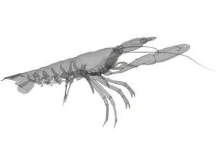 Lobster (Nephrops Norvegicus) 3D Model preview
