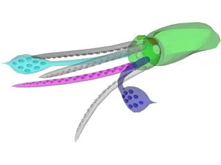 Squid 3D Model preview