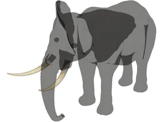 Elephant African Male 3D Model preview