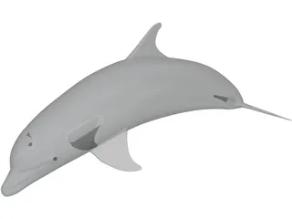 Dolphin Bottle-Nosed 3D Model preview