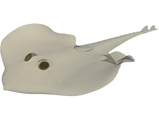 Devilfish 3D Model preview