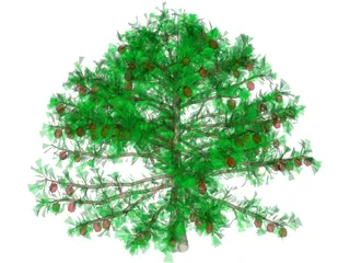 Apple Tree 3D Model preview
