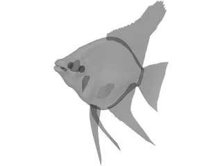 Pterophyum Scalare 3D Model preview