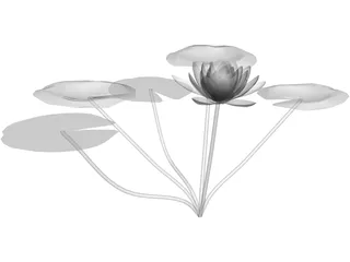 Lilly Water 3D Model preview