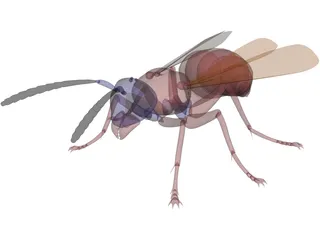 Wasp 3D Model preview