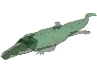 Crocodile 3D Model preview