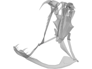 Snake Skeleton 3D Model preview