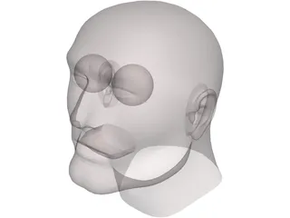 Head Male 3D Model preview