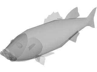 Fish 3D Model preview