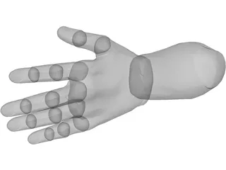 Hand Male 3D Model preview