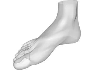 Foot 3D Model preview