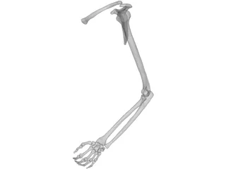 Arm Left 3D Model preview