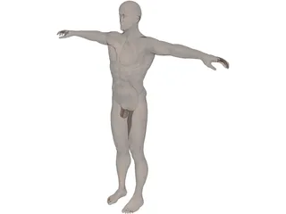 Man 3D Model preview