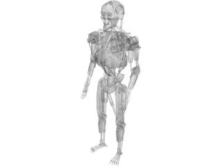 Terminator T-800 Metal Skeleton 3D Model preview