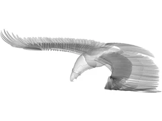 Eagle 3D Model preview
