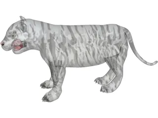 Tiger 3D Model preview