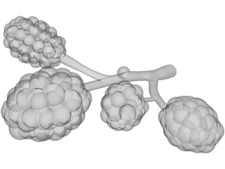 Alveoli 3D Model preview