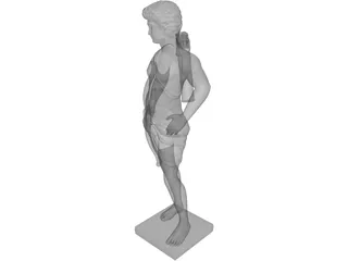 Roma Fighter 3D Model preview