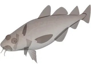 Pacific Cod 3D Model preview