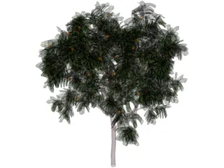 Zitronenbaum 3D Model preview