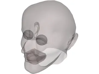 Head Man 3D Model preview
