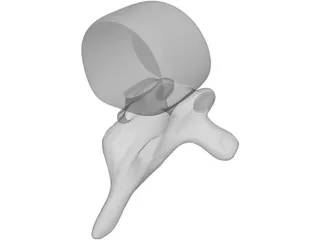 Spine 3D Model preview