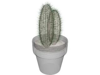 Cactus 3D Model preview