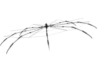 Spider Robot 3D Model preview