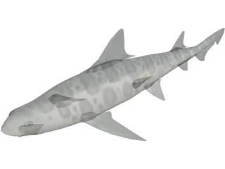 Leopard Shark 3D Model preview
