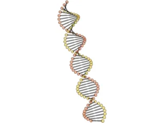 DNA Model 3D Model preview