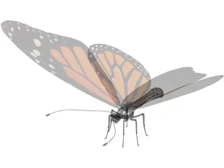 Butterfly 3D Model preview