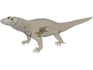 Komodo Dragon 3D Model preview