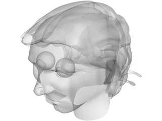 Head Messi 3D Model preview