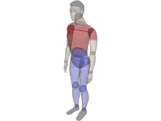 Man 3D Model preview