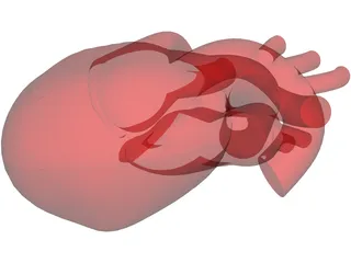 Heart Human 3D Model preview