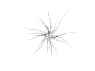 Neuron 3D Model preview