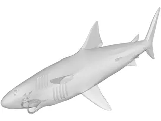 Shark Great White 3D Model preview
