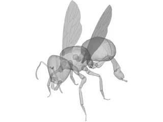Bee 3D Model preview