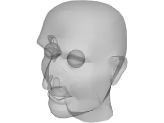 Head Male 3D Model preview