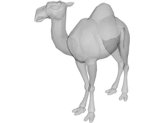 Camel 3D Model preview