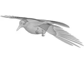 Dove 3D Model preview