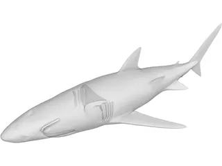 Blue Shark 3D Model preview