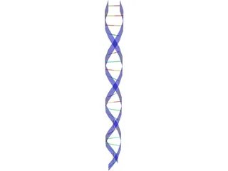DNA Strand 3D Model preview