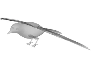 Dove Rock Pigeon 3D Model preview