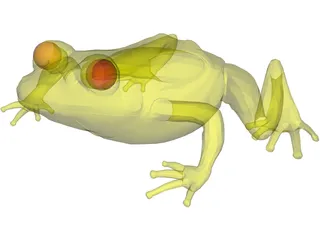 Frog 3D Model preview