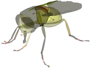 Fly 3D Model preview