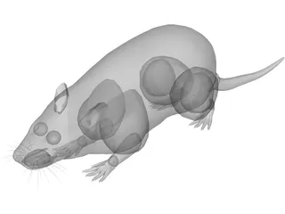 Rat 3D Model preview